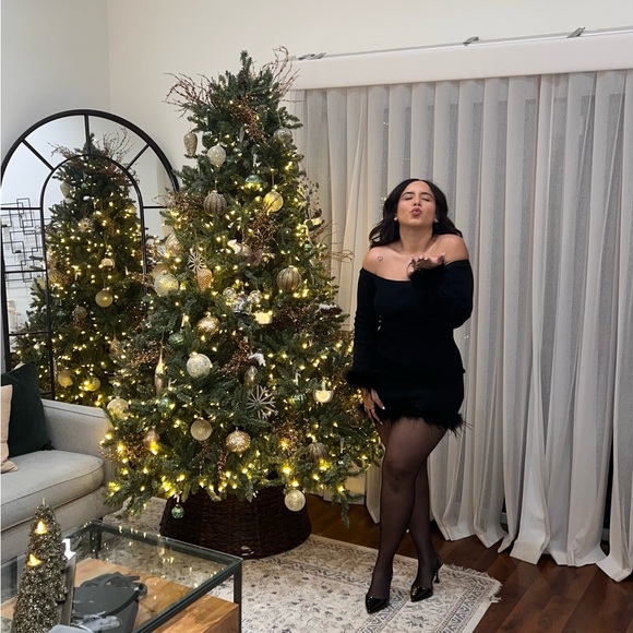 Black mini dress with feathers - Picture 2 of 4